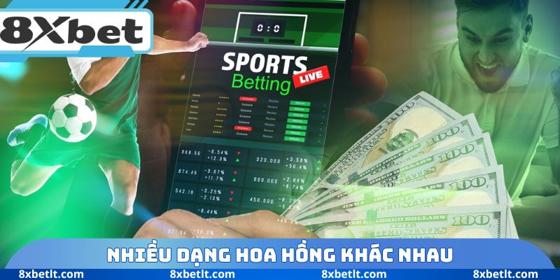 Nhiều dạng hoa hồng khác nhau
